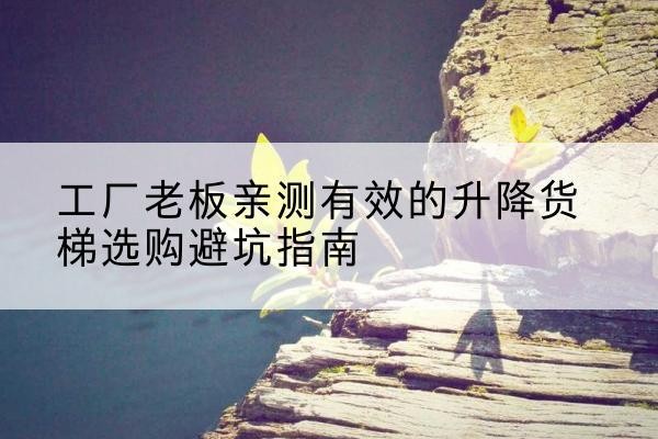 眉县升降货梯怎么选-工厂老板亲测有效的升降货梯选购避坑指南