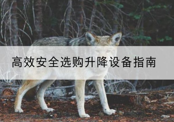 眉县升降货梯厂家推荐-*安全选购升降设备指南
