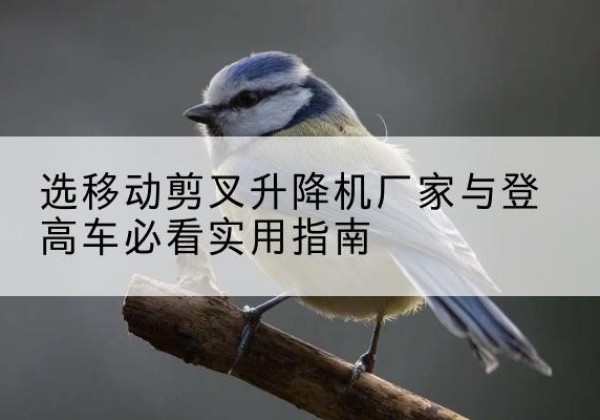 眉县电动升降机厂家-选移动剪叉升降机厂家与登高车必看实用指南