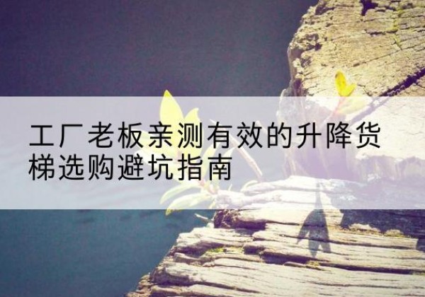 眉县升降货梯怎么选-工厂老板亲测有效的升降货梯选购避坑指南